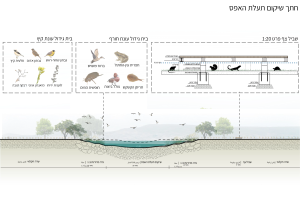 FLOODS OF RESILIENCE | Preserving Palestinian Agriculture in Sahl El Battouf