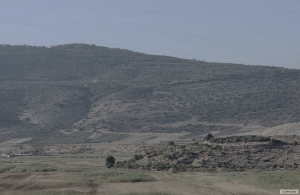 שדות המחר