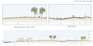 From Shore to City: Redefining Haifa's Shoreline