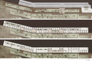 העיר שעל הקיר