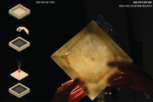 בין מצוק לתקווה