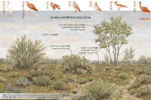 רועש להפליא