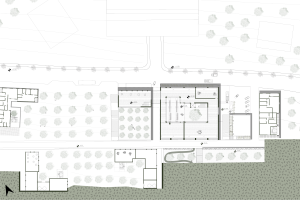 זַיִת בַּיִת