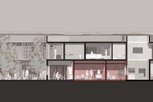 מהחלמה מקומית לצמיחה אזורית. רפואה, קהילה והזדמנות פורצת גבולות