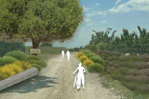 שביל זהות הגולן