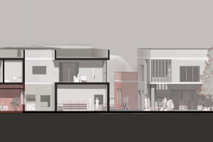 מהחלמה מקומית לצמיחה אזורית. רפואה, קהילה והזדמנות פורצת גבולות