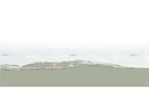 דמיון מחודש של הביוספרה – תכנון שפת החיים בין עוספיה לבין הגן הלאומי