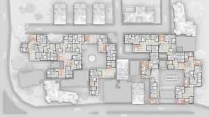 עג'מי – שלטון, קהילה ומאבק במרחב