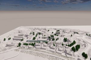 מן הסלע אל החיים