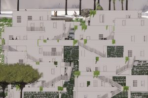 מן הסלע אל החיים