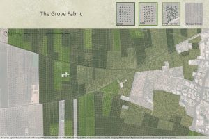 Rooted Growth: The Olive Grove as Genius Loci of Kufr Yasif's Future Development