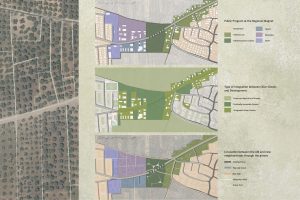 Rooted Growth: The Olive Grove as Genius Loci of Kufr Yasif's Future Development