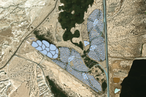 מלח הארץ – חיים בסביבות קיצון