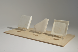 מלח הארץ – חיים בסביבות קיצון