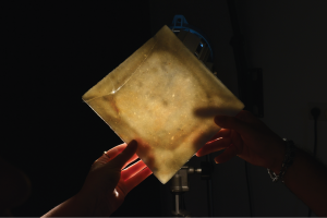 מלח הארץ – חיים בסביבות קיצון