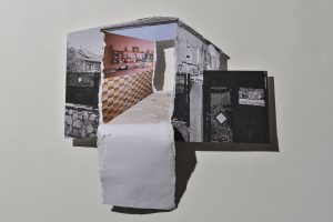 ֵאֶרֶץ תִּצְמַח