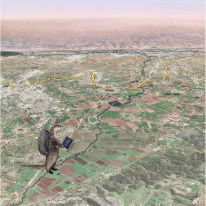 בין קו למרחב: עמק יזרעאל כמסדרון אקולוגי אקווטי